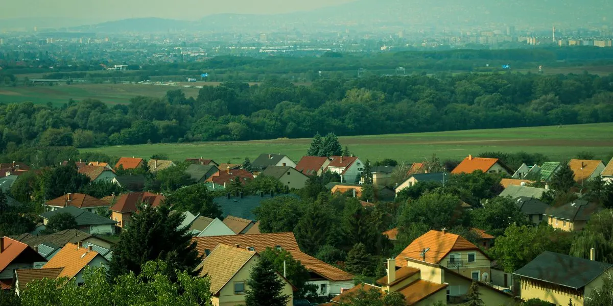 Local area - Real Estate Business Ideas