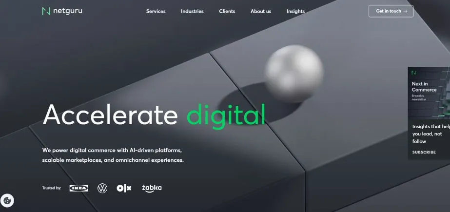 Netguru - Real Estate Software