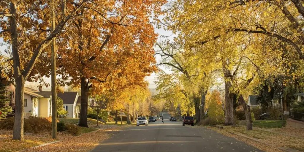 Wheat Ridge - Best Cities to Live in Colorado